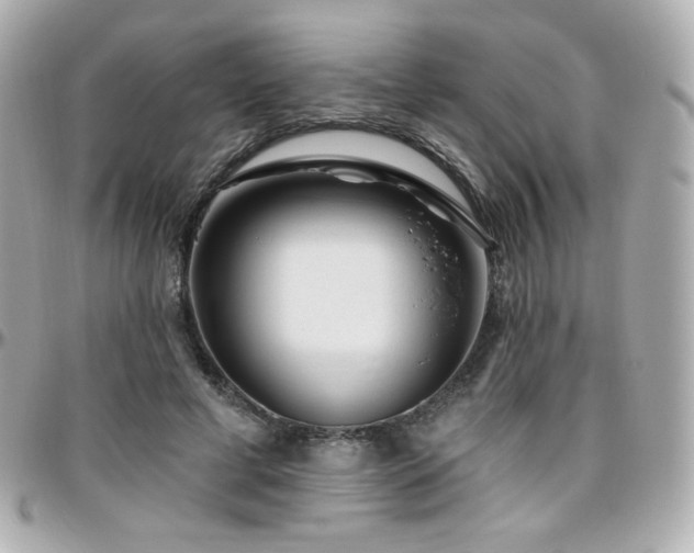 X0000096470593200801241430