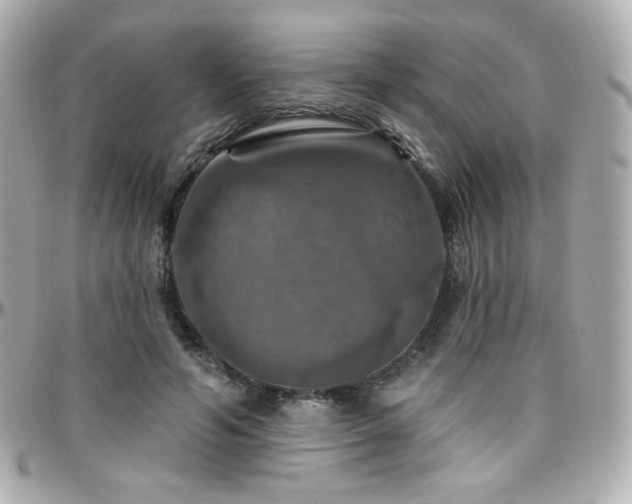 X0000096470594200801241430