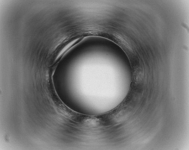 X0000096470595200801241430