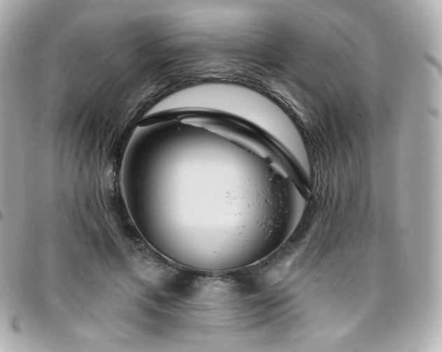 X0000096470597200801241430