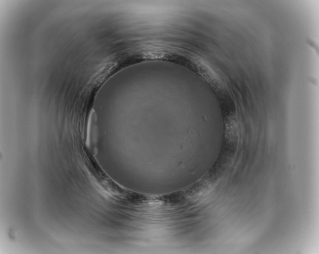 X0000096470598200801241430