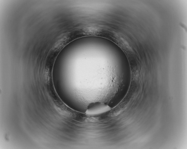 X0000096470599200801241430