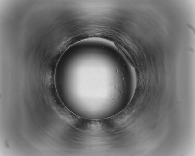 X0000096470600200801241430