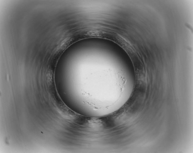 X0000096470603200801241430