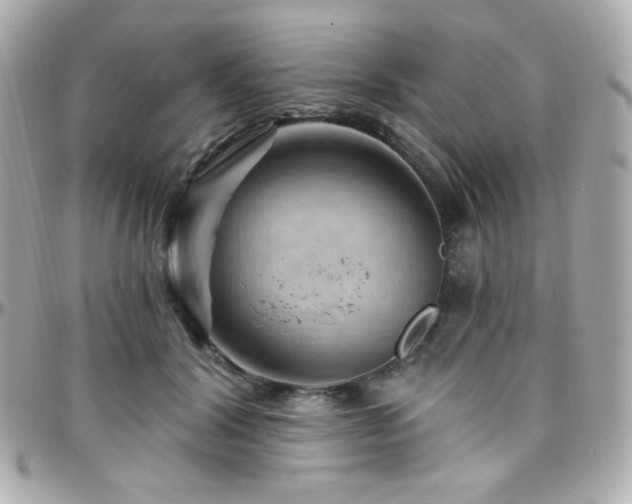 X0000096470604200801241430