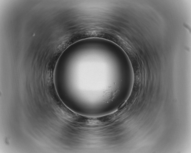 X0000096470605200801241430