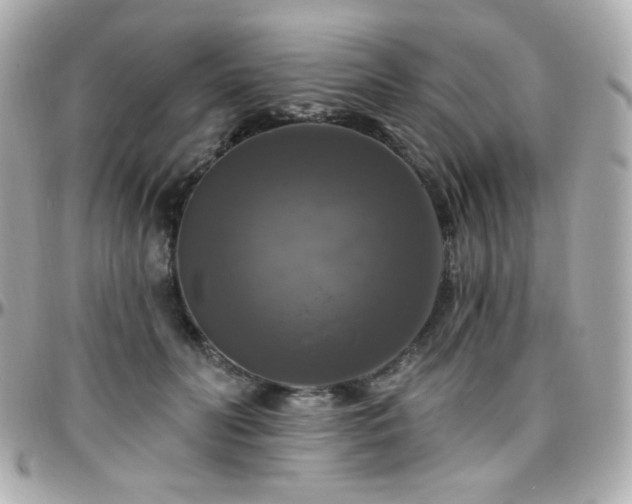 X0000096470606200801241430