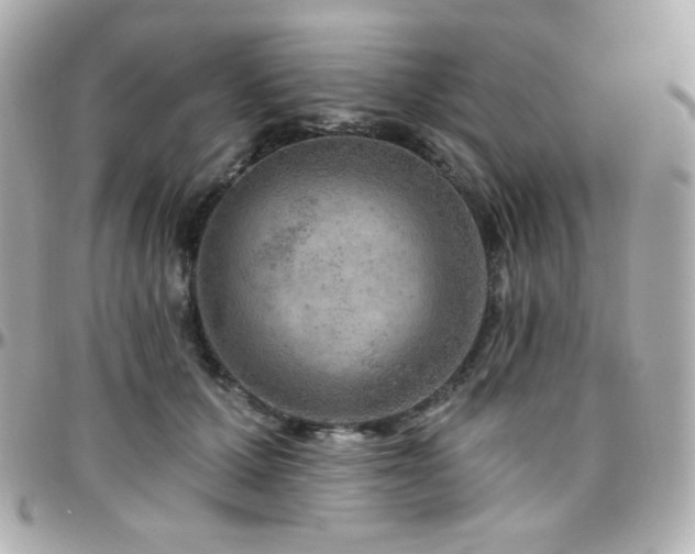 X0000096470607200801241430