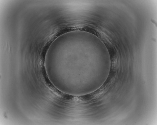 X0000096470608200801241430