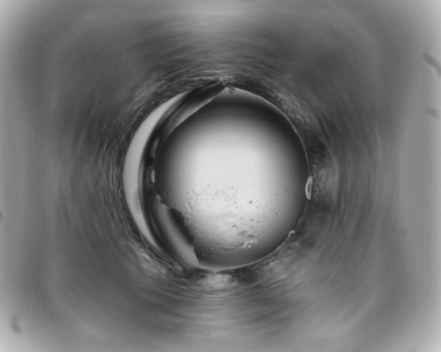 X0000096470609200801241430