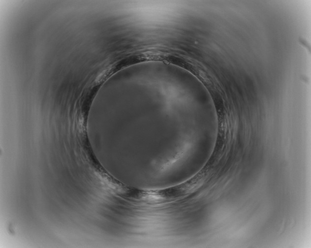 X0000096470610200801241430