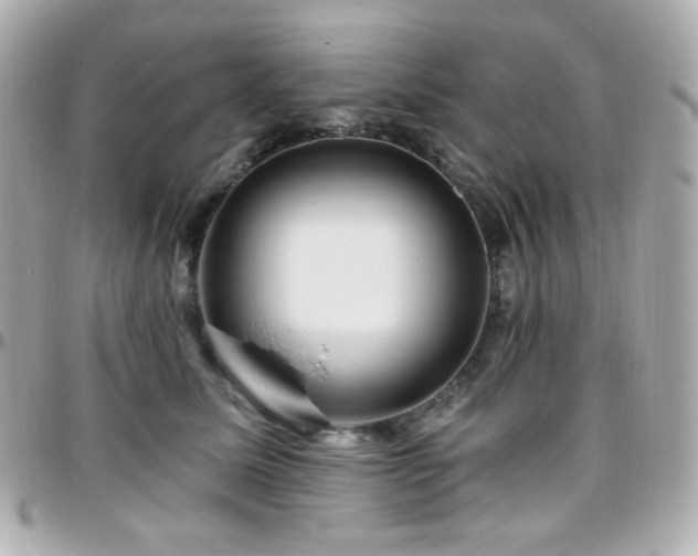 X0000096470611200801241430