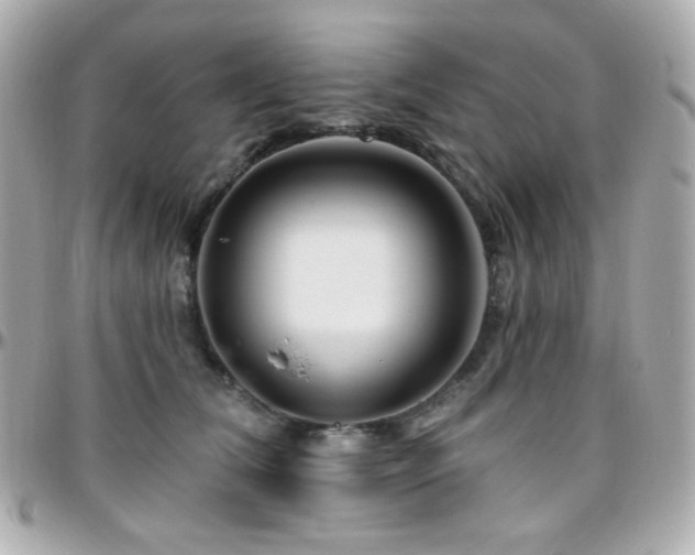 X0000096470612200801241430