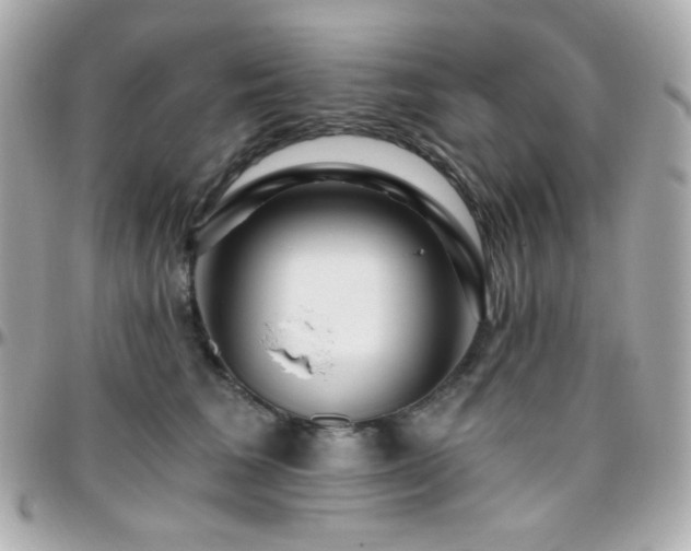 X0000096470613200801241430