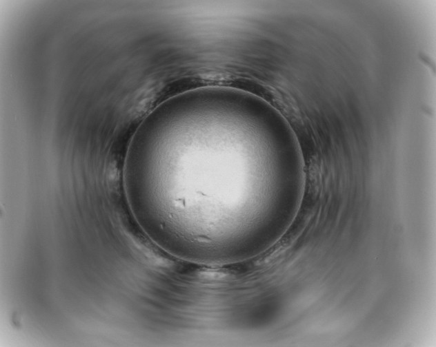 X0000096470614200801241430