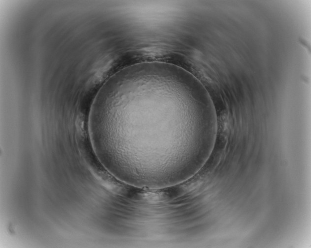 X0000096470615200801241430