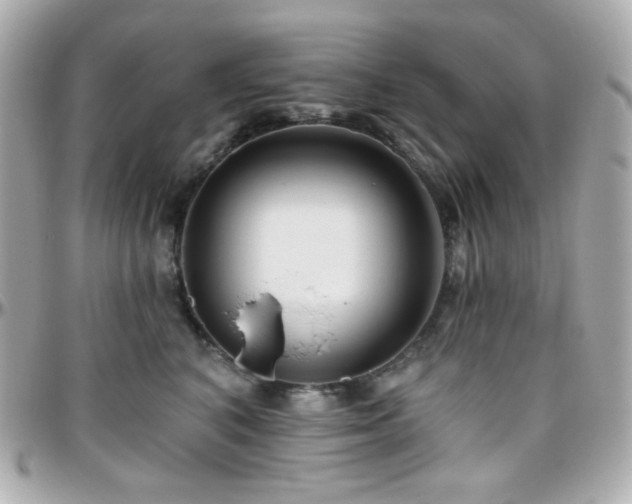 X0000096470616200801241430