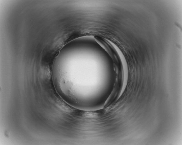 X0000096470617200801241430