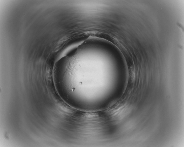 X0000096470619200801241430