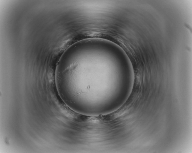 X0000096470620200801241430