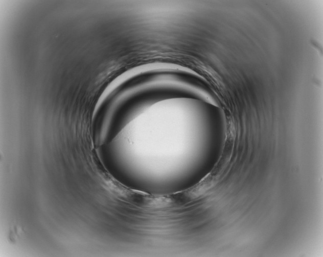 X0000096470621200801241430