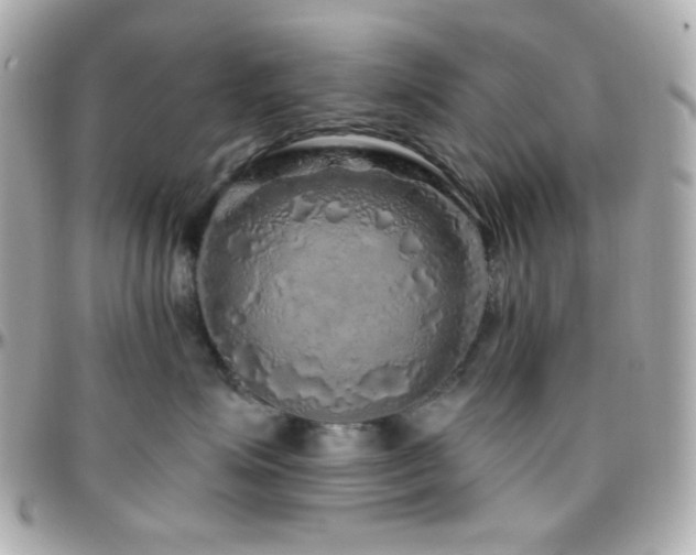 X0000096470623200801241430