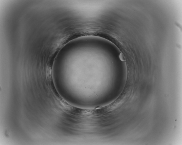 X0000096470624200801241430