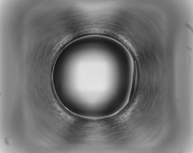 X0000096470625200801241429