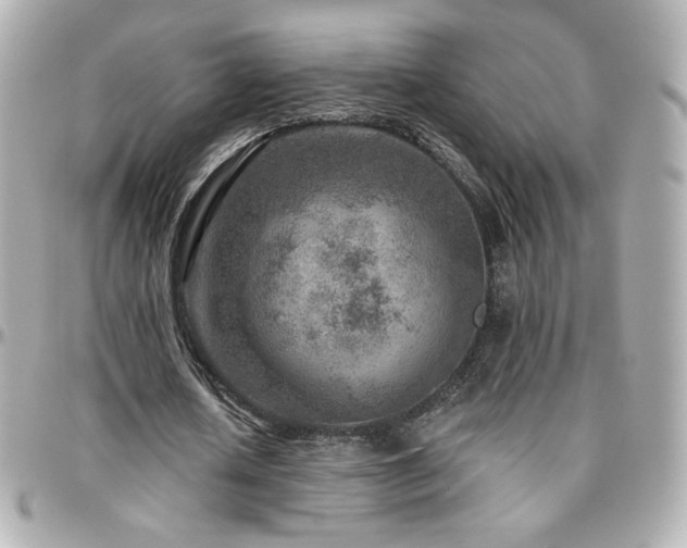 X0000096470626200801241429