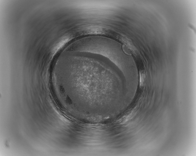 X0000096470627200801241429