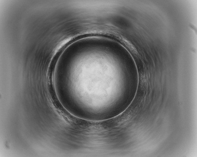 X0000096470628200801241429