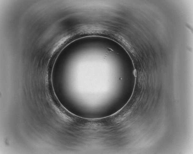 X0000096470629200801241429