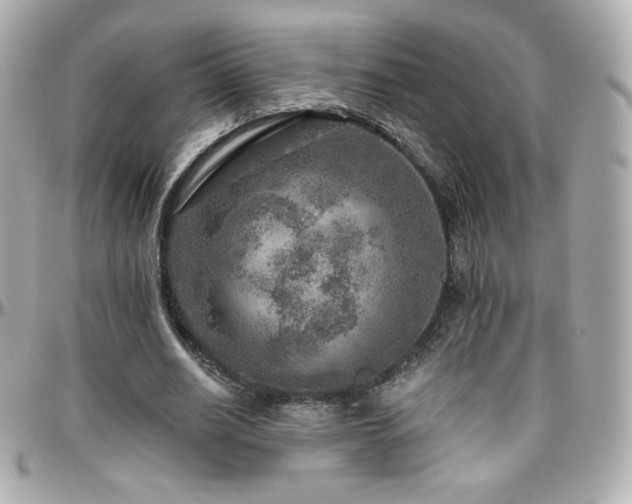 X0000096470630200801241429