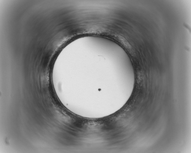 X0000096470632200801241429