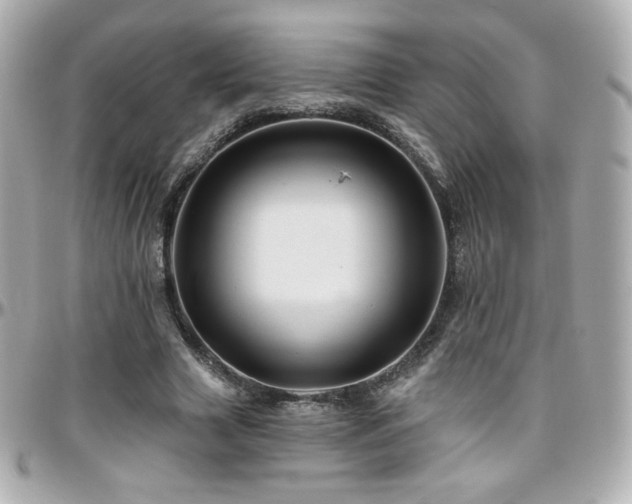 X0000096470633200801241429