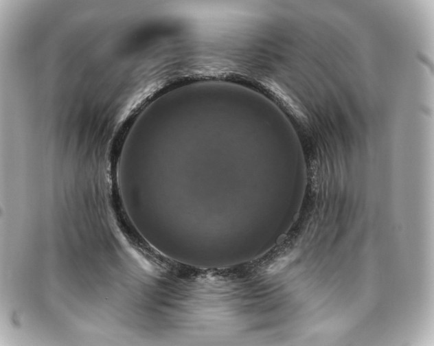 X0000096470634200801241429