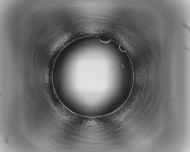 X0000096470635200801241429