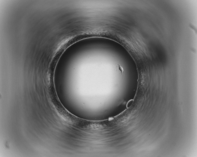 X0000096470636200801241429