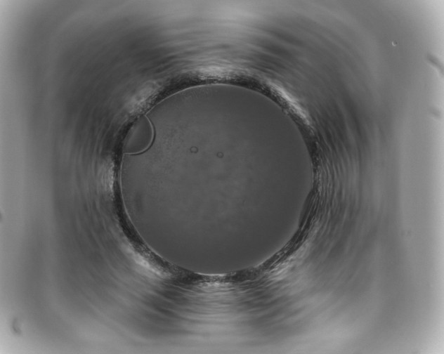 X0000096470637200801241429