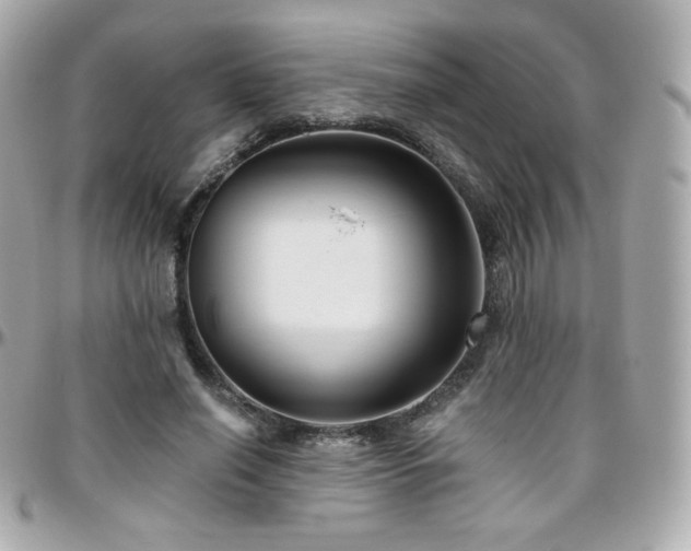 X0000096470638200801241429