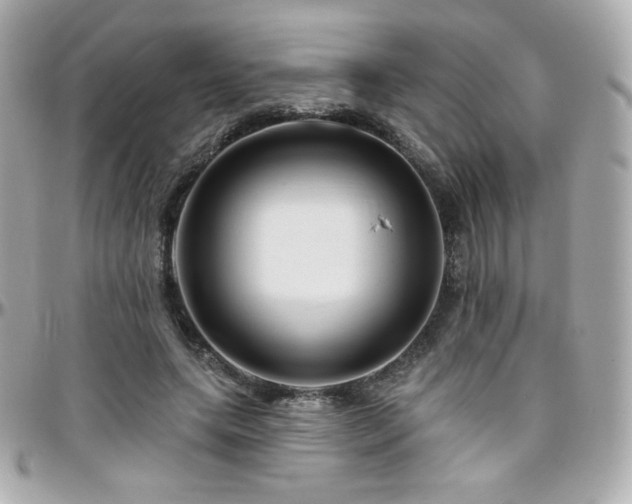 X0000096470639200801241429