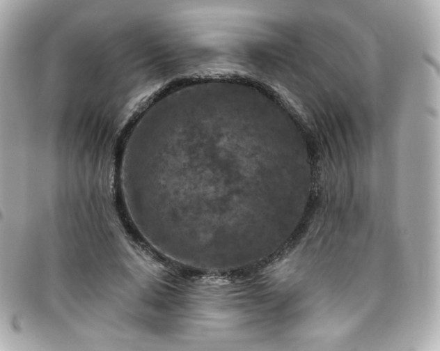 X0000096470640200801241429