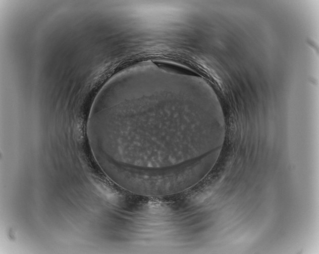 X0000096470641200801241429