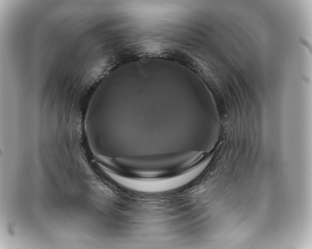 X0000096470642200801241429