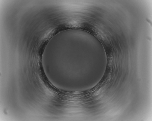 X0000096470643200801241429