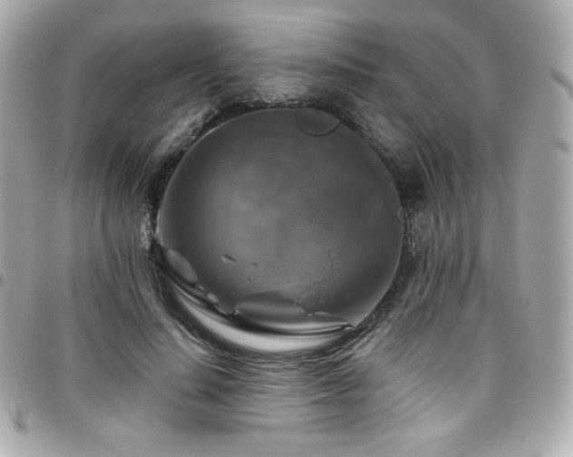 X0000096470644200801241430