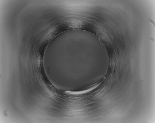 X0000096470647200801241430