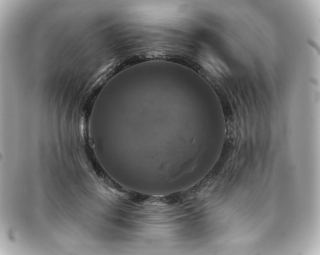 X0000096470648200801241430