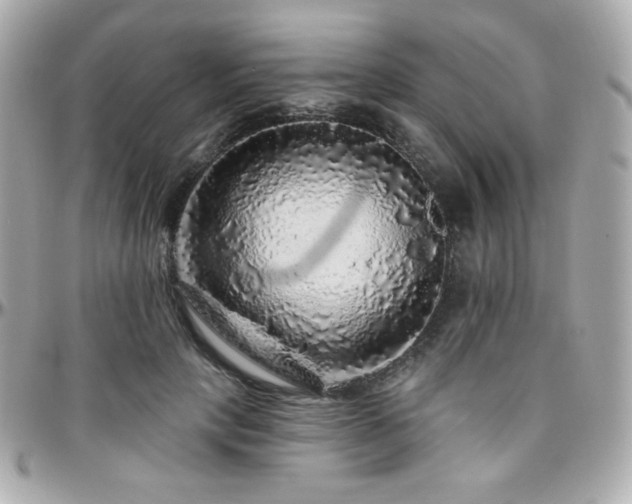 X0000096470649200801241430