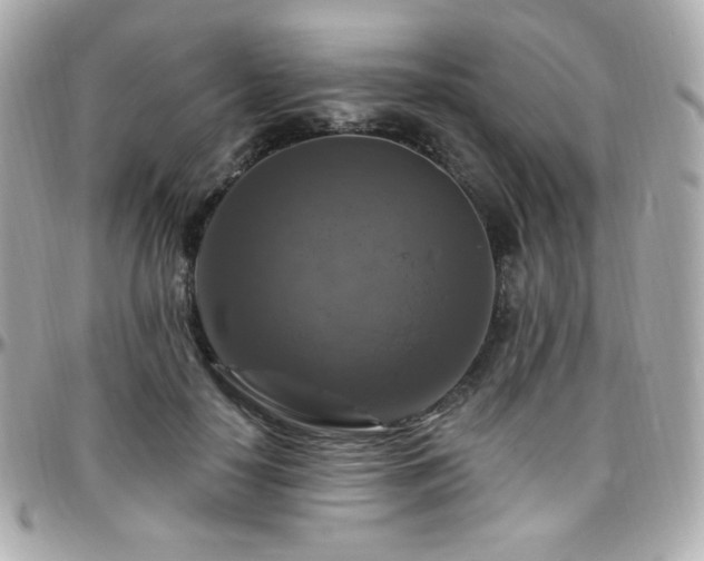 X0000096470650200801241430